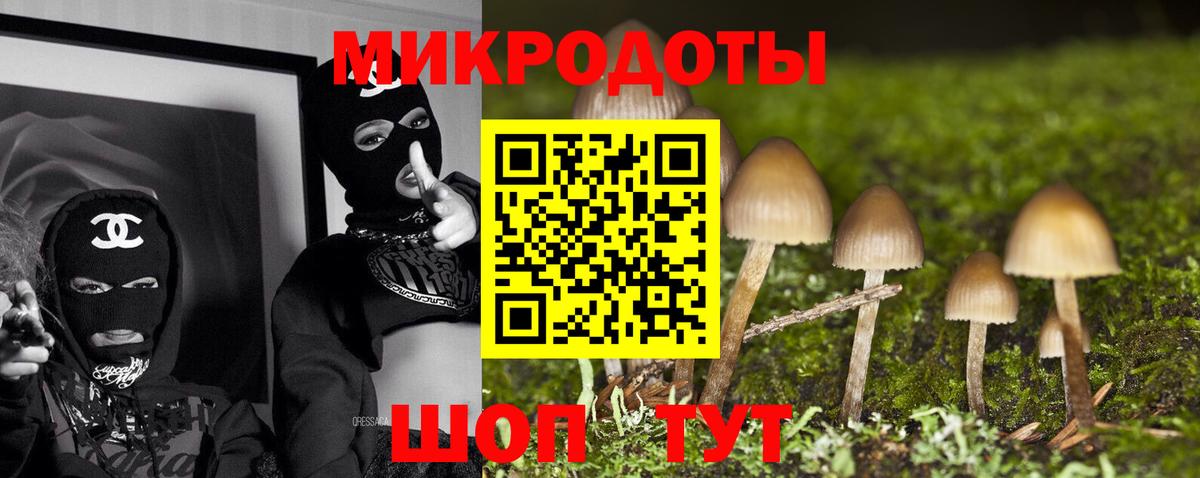 Камышин  Галлюциногенные грибы MAGIC MUSHROOMS  наркотики  Вход с VPN 