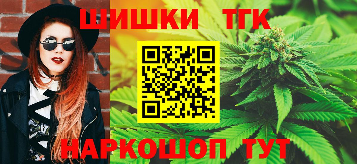 МЕФ Камышин